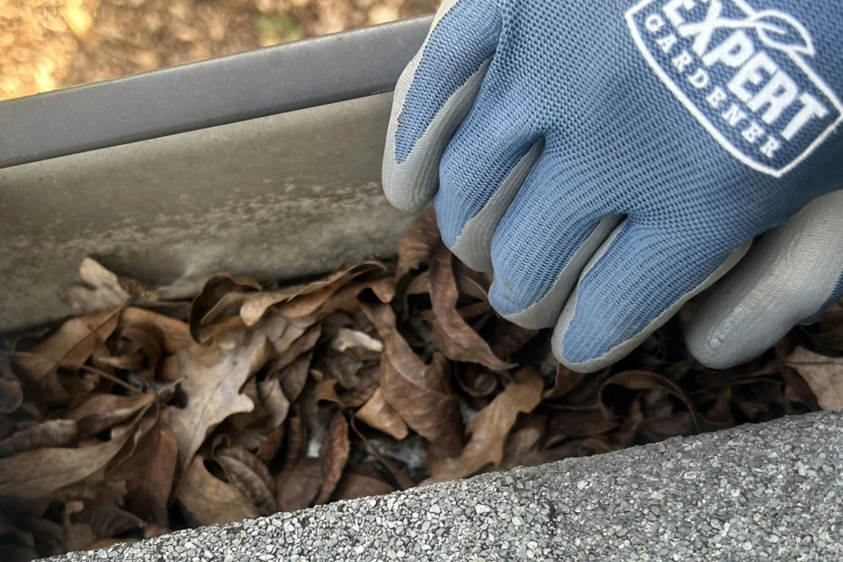 Gutter Cleaning Marietta GA